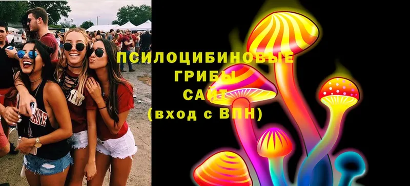 Галлюциногенные грибы Psilocybe  блэк спрут зеркало  Богданович 